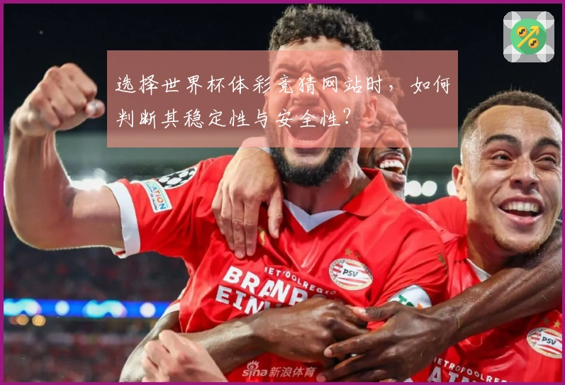 选择世界杯体彩竞猜网站时，如何判断其稳定性与安全性？