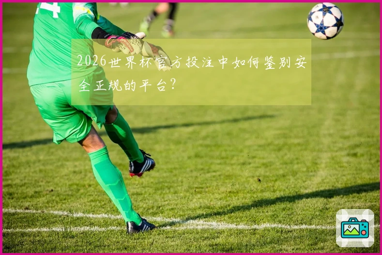 2026世界杯官方投注中如何鉴别安全正规的平台？