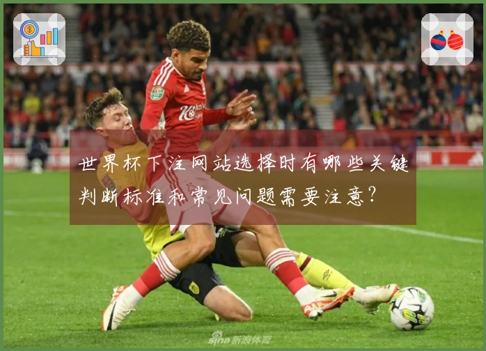 世界杯下注网站选择时有哪些关键判断标准和常见问题需要注意？