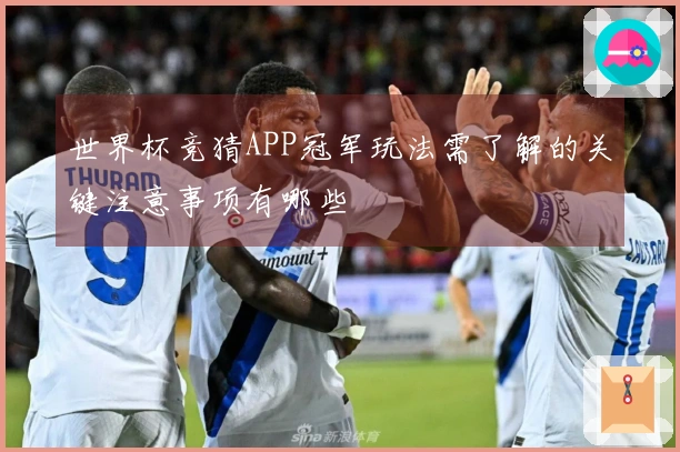 世界杯竞猜APP冠军玩法需了解的关键注意事项有哪些