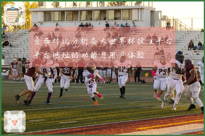 全面对比分析各大世界杯投注平台平台地址的功能与用户体验