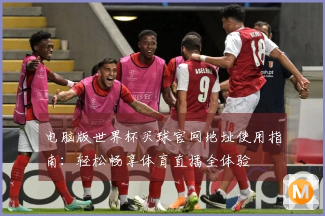 电脑版世界杯买球官网地址使用指南：轻松畅享体育直播全体验