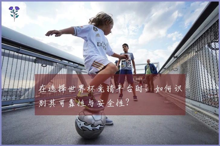 在选择世界杯竞猜平台时,如何识别其可靠性与安全性?