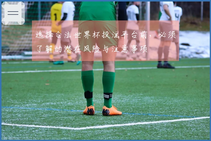 选择合法世界杯投注平台前,必须了解的潜在风险与注意事项