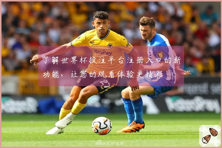 了解世界杯投注平台注册入口的新功能，让您的观看体验更精彩