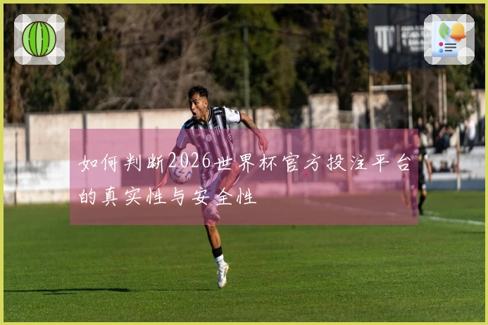 如何判断2026世界杯官方投注平台的真实性与安全性