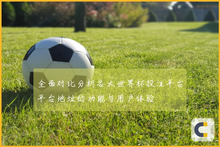 全面对比分析各大世界杯投注平台平台地址的功能与用户体验