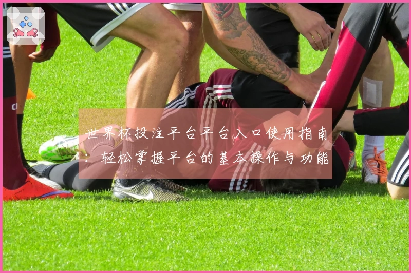 世界杯投注平台平台入口使用指南：轻松掌握平台的基本操作与功能体验