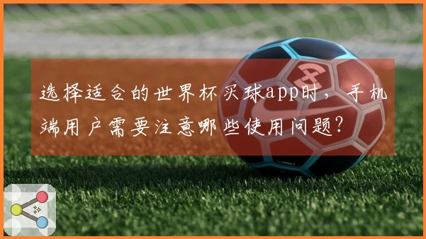 选择适合的世界杯买球app时，手机端用户需要注意哪些使用问题？