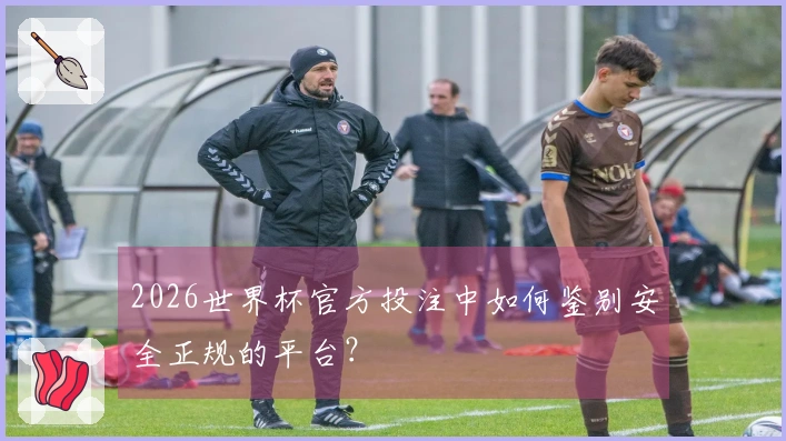 2026世界杯官方投注中如何鉴别安全正规的平台？