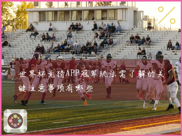 世界杯竞猜APP冠军玩法需了解的关键注意事项有哪些