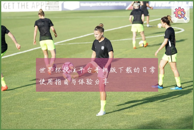 世界杯投注平台手机版下载的日常使用指南与体验分享